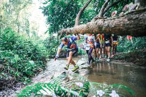 BIB: 
                            <button type="button" onclick="openModal(25466022)" class="btn btn-primary btn-sm float-right btn-popup" data-toggle="modal" data-target=".modal-high-quality">
                        <i class="fas fa-shopping-cart"></i> Add to Cart
                    </button>
                                            <button type="button" onclick="isThisMe(25466022, true)" class="btn btn-success btn-sm float-right btn-popup btn-isme hidden" data-toggle="tooltip" data-placement="bottom" title="นี่คือรูปของคุณใช่ไหม คลิกที่นี่เพื่อเอาเข้าอัลบั้ม">
                        <i class="fas fa-plus"></i> Add to album
                    </button>
                    <button type="button" onclick="isThisMe(25466022, false)" class="btn btn-warning btn-sm float-right btn-popup btn-isnotme hidden">
                        <i class="fas fa-ban"></i> Remove from album
                    </button>